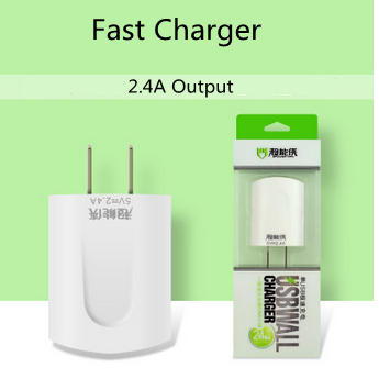 Fast charger